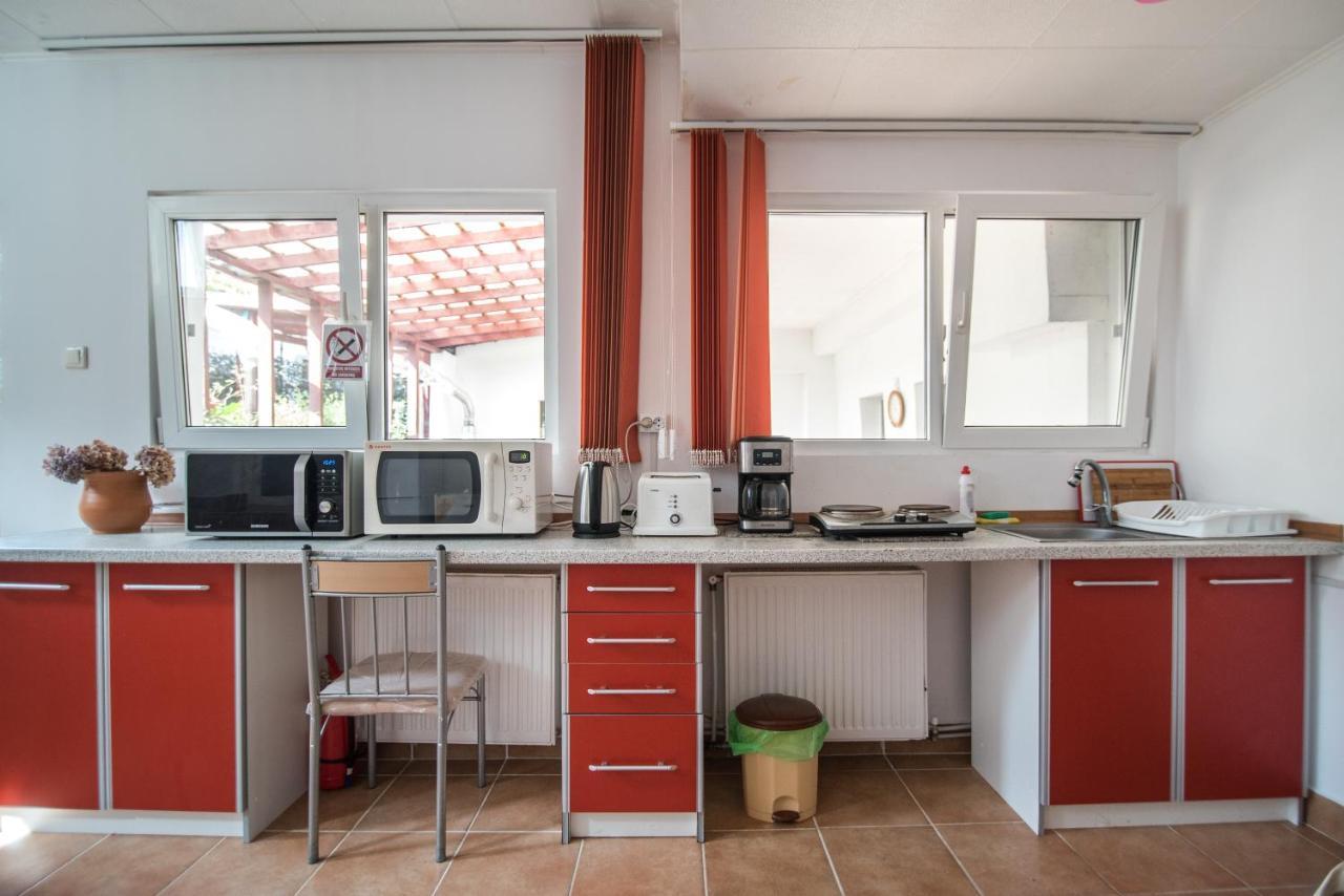 בראשוב Transylvania Guest House מראה חיצוני תמונה